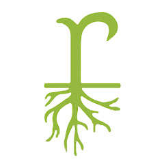 Real Turf Solutions