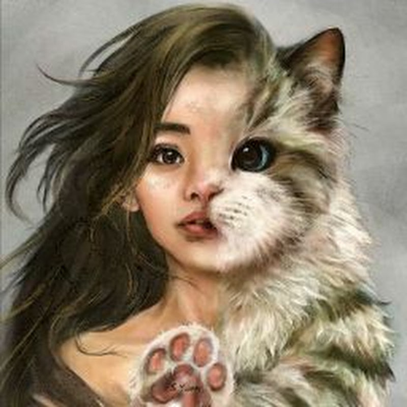 MrPurrpaws
