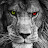 @ali86ak85