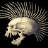PDN3tAb-vbY-channel-avatar-punkman149