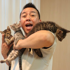 林家たい平『天下たい平』チャンネル