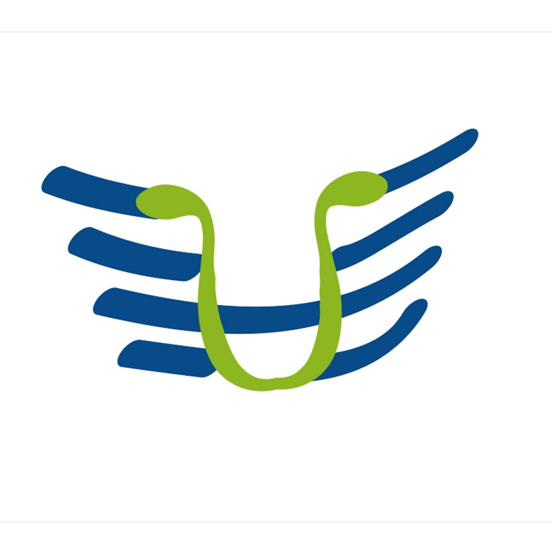 Transmissible icon