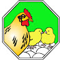 Arab Qatari CO. For Poultry Production