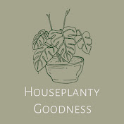 Houseplantygoodness