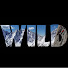 N6_OC47CgBI-channel-avatar-WILDERTAINMENT