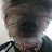 @scottoreilly4785 Avatar