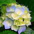 q3RU8w89beE-channel-avatar-Diyako Kurdi