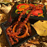 R4PULXKEud4-channel-avatar-VintageCollection