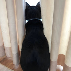 ささみ