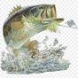 Fish Home BD logo