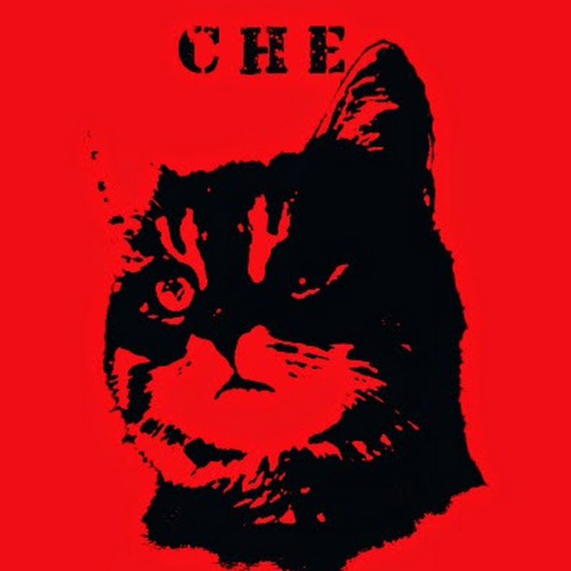 A . Ivanovich ptz . Logo