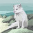 @DWK-ws9ty