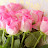 @LLL-nq8mn