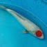 inlzhqefnSg-channel-avatar-Michel beij