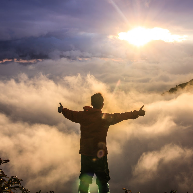 Master Your Reality