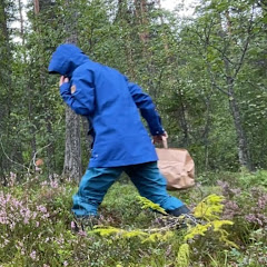 スウェーデンの森チャンネルアイコン画像