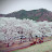 @user-nn3zr8bw3o