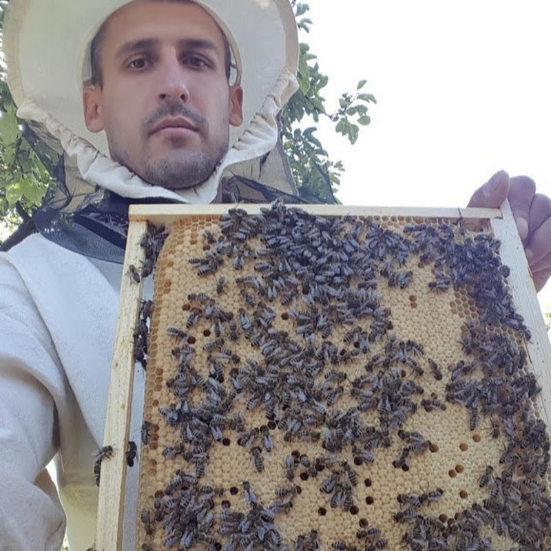 матковод Logo