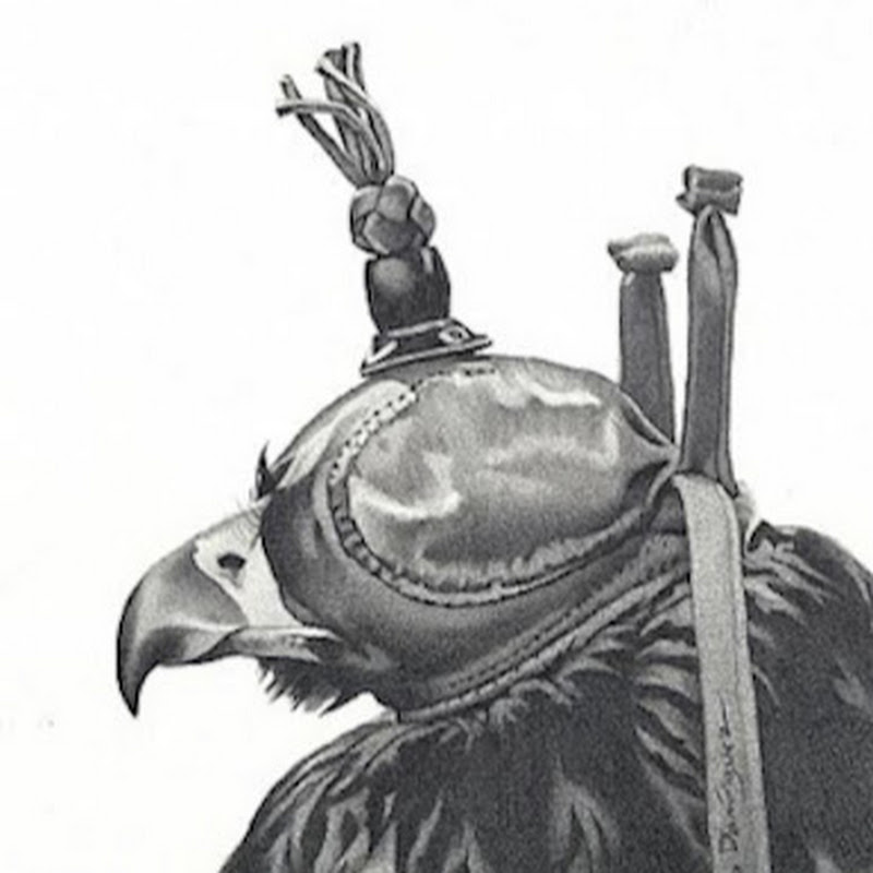Hawkins Falconry icon
