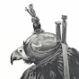 Hawkins Falconry logo