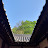 @장명숙-f5r