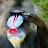 @thepeller210's avatar