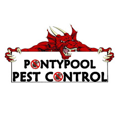 pontypool pest control net worth