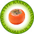 Nwnd4EtfTjA-channel-avatar-KAKKIE CHANNEL MAS PRODUCTION TYPE