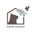 EWDuttDfPag-channel-avatar-Catio Spaces