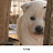@user-sy6zt8my8b