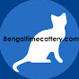 Registered Bengals logo