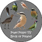 Ptaki Polski TV - Birds of Poland