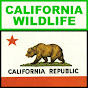 American Wildlife logo