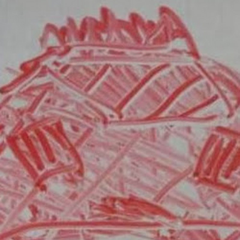 Sam Vekemans icon