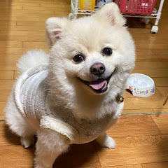 Su- mi