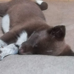 さき