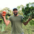 JHA2yrrs-14-channel-avatar-Florida Grown and Gathered