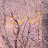 @user-km8fy8xc4y