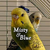 Misty & Blue