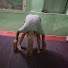 L0IImWKyJK0-channel-avatar-NKS Spiritual and Yoga Therapy classes