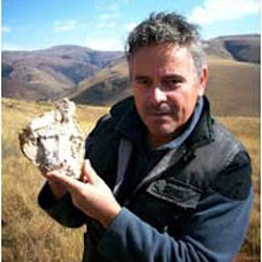 Michael Tellinger net worth