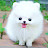 @임성재-y5m