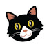 Kw3WgJsGW44-channel-avatar-Senior Cat Wellness