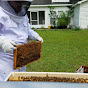 White Oak Apiaries logo
