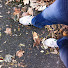 Channel Image