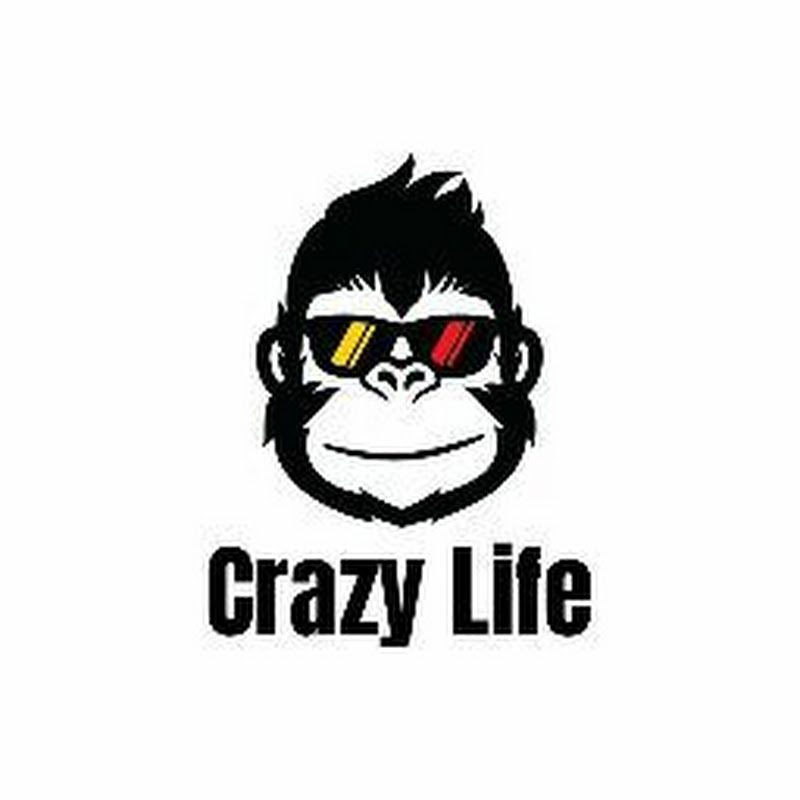 Crazy Life