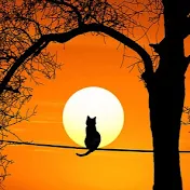 スピリチュアルSOUL CH