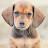 @dsmith5212 Avatar
