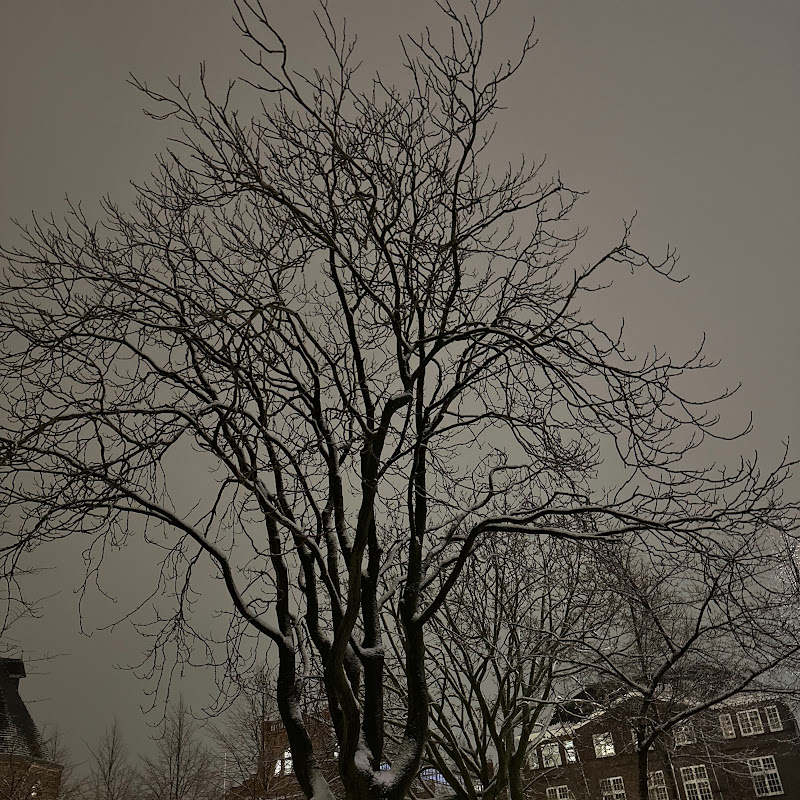 Hasan Alchouikh Alabed