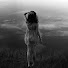 KodeLgSSs5Y-channel-avatar-Sleepinginthedark 2211